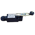 ~Limit Switch,1 N.O 1 N.C, Auto Reset