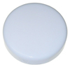 LANTERN LENS 3 3/4" DIAMETER