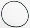 O RING, WORM COVER PLATE 4.9 X