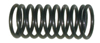 CONTROL PISTON SPRING