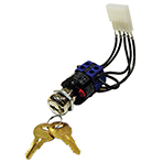 Keyswitch, with Cable Assy, NY