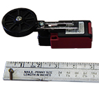 Limit Switch, 1 NO / 1 NC with Roller