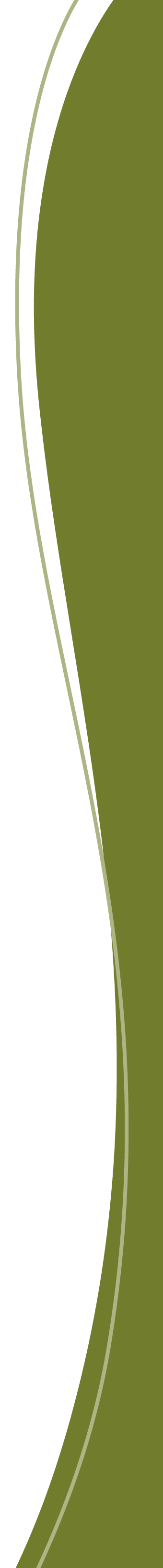 MISGL-1 Guide Rail, Tangential Polyurethane