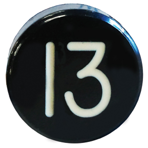 BUTTON, MARKED #13