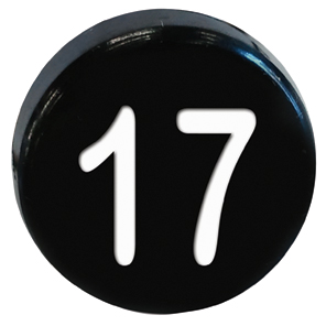 BUTTON, MARKED #17