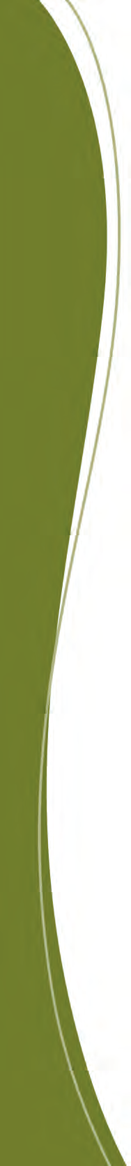 OTYDS-8A Demarcation Strip, Length: 317mm Tooth Pitch: 9 068mm Width: 41 7mm