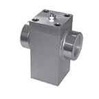 Pipe Rupture Valve (2") -