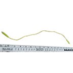 Magnetic Jumper,
