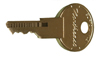 #100T MIS CAR PANEL KEY