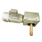 Homelift Motor Gear Drive Unit