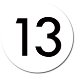 BUTTON INSERT, ROUND #13